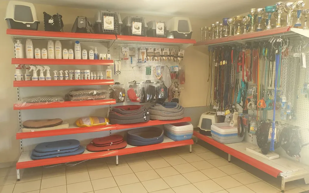 Accessoires vendus pas cher à Avignon