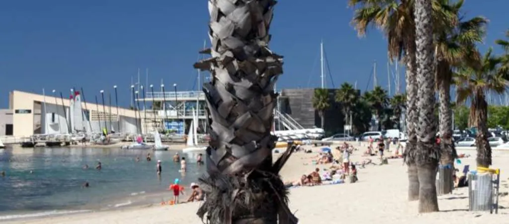 office de tourisme de bandol