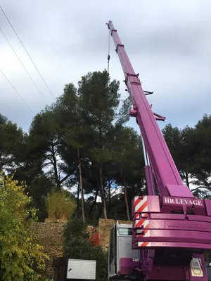 Entreprise professionnelle d'élagage Carré Vert à Aix-en-Provence, 13090, offrant des services d'entretien d'arbres sécurisés et soignés pour vos espaces extérieurs