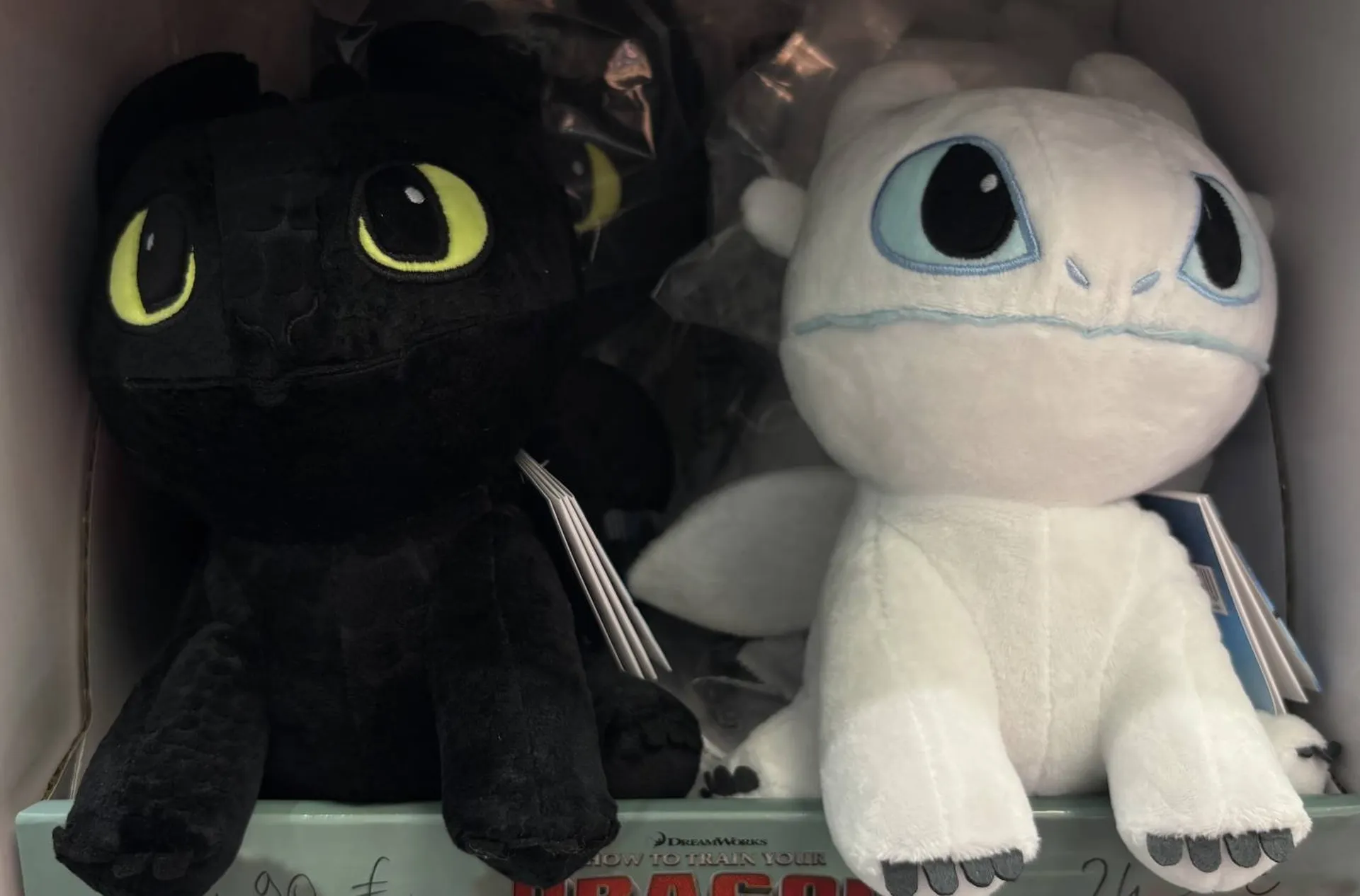 BOUILLOTTES PHARMACIE PANETTA 