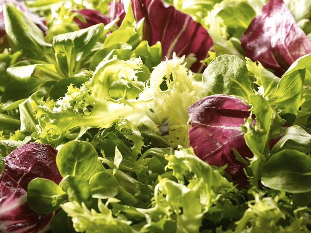 Bonduelle food service légumes frais 4ème gamme