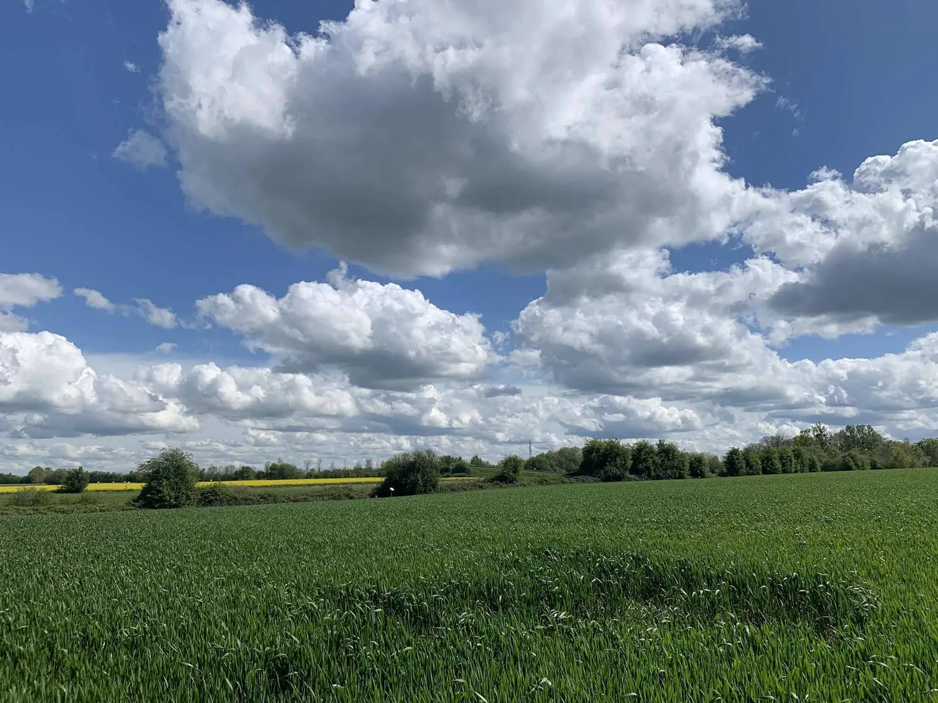 PAYS D'AUGE NORD : EN EXCLUSIVITE : A ACQUERIR REGION HONFLEUR : 35 HA de TERRES