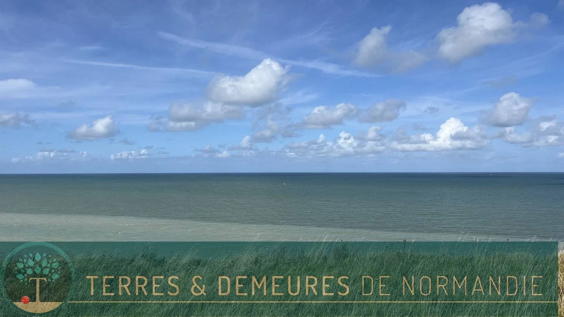 Maison de plage 46m² avec 2 chambres, pièce de vie et cuisine ouverte, cabanon 15m², vue mer et emplacement privilégié à Criel-sur-Mer 76910, proche plage.