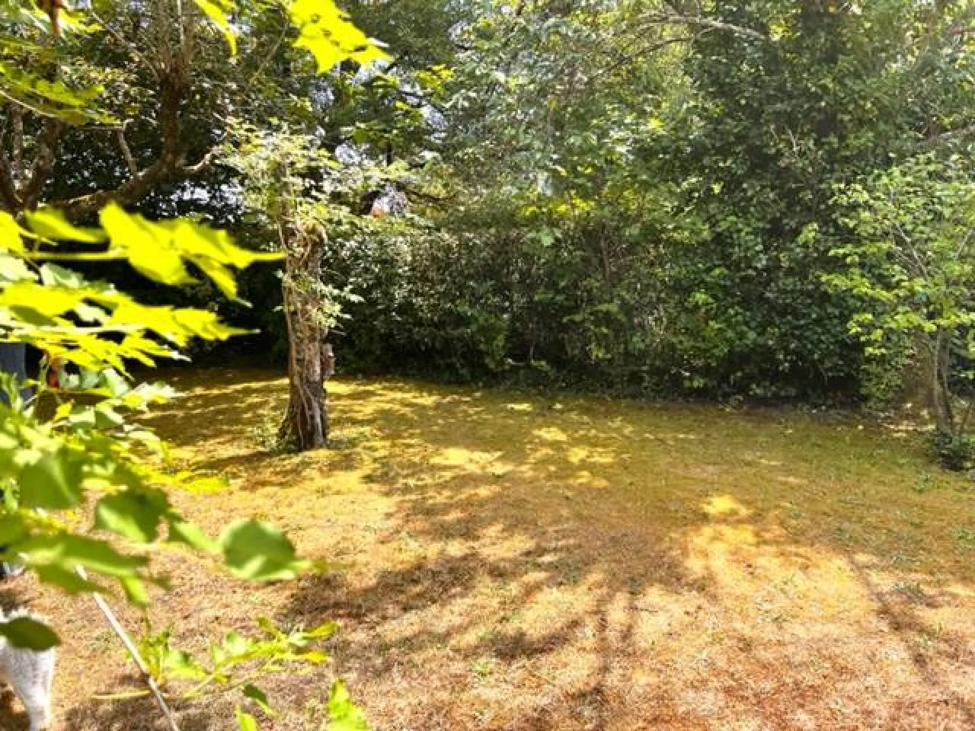 acheter une maison contemporaine à martignas sur jalles