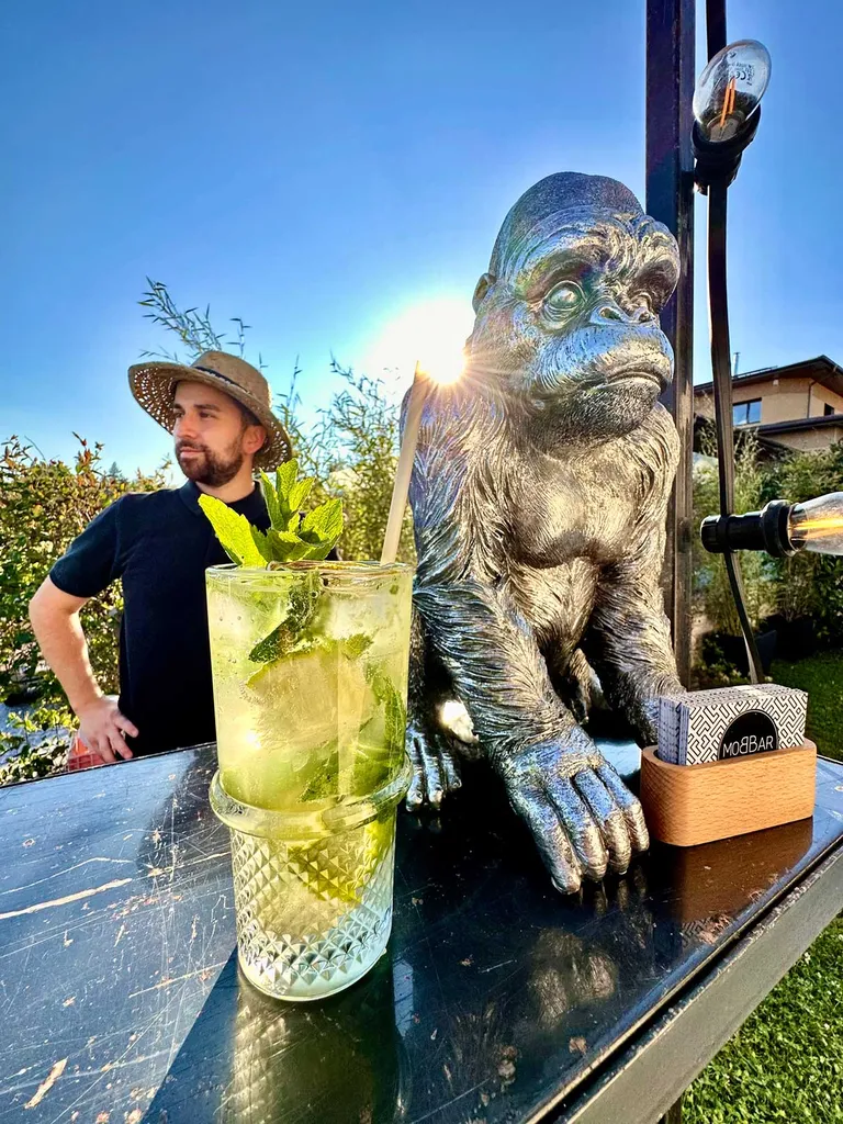 Bar à mocktails, les cocktails sans alcool pour votre événement privé ou professionnel à Lyon et sa région