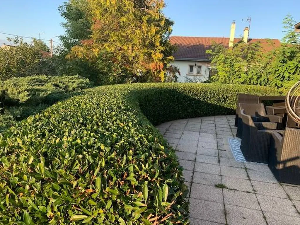 taille de haie par un jardinier de Biscarrosse