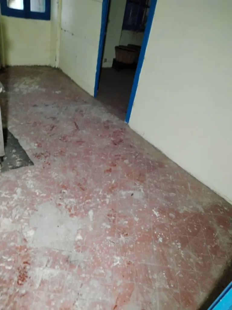 nettoyage désinfection immeuble abandonné 84