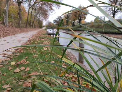 Voie verte et voie douce paysagère VRD maitre d'œuvre