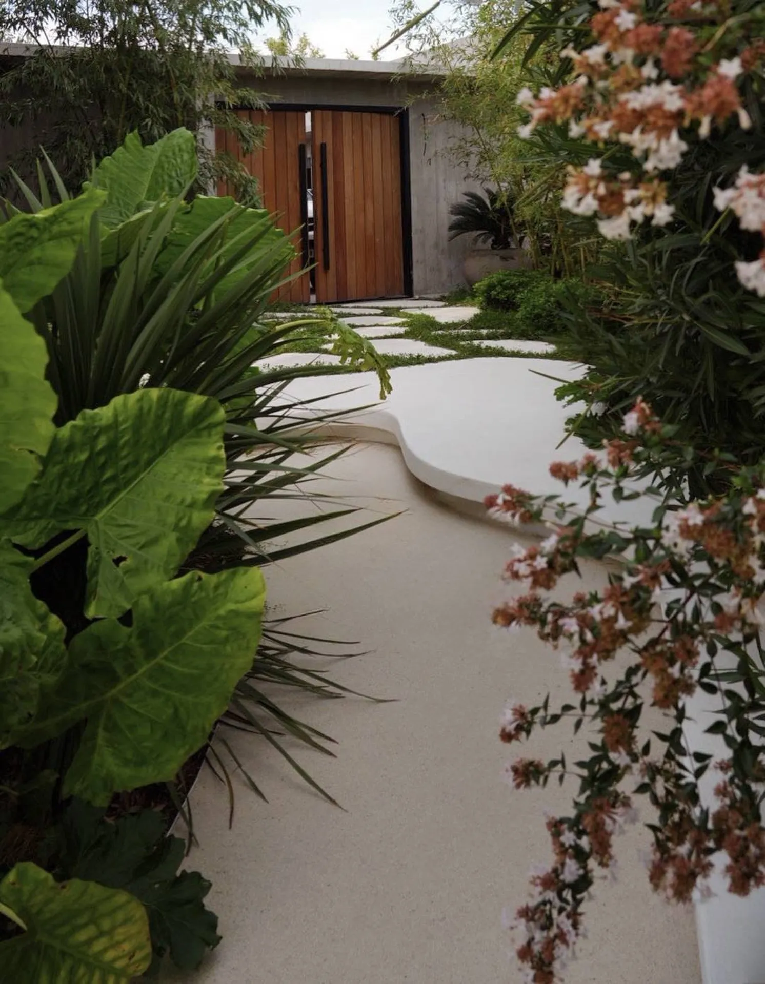 Allée moderne et végétation exotique à Aix-en-Provence (13090).