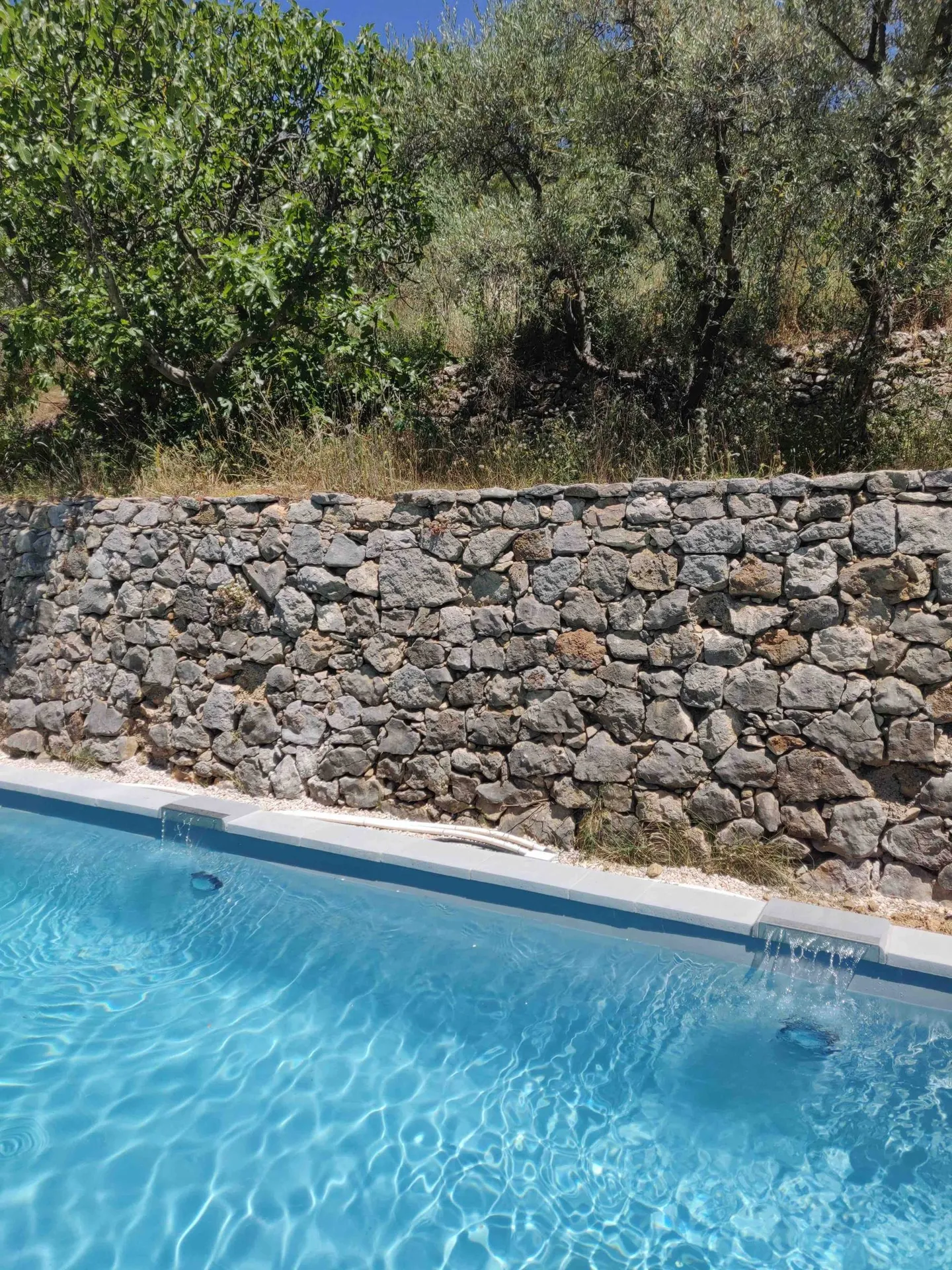 Aménagement extérieur, jardin avec piscine avec un Architecte paysagiste sur Aix-en-Provence