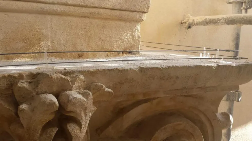 Bird Out anti pigeon marseille