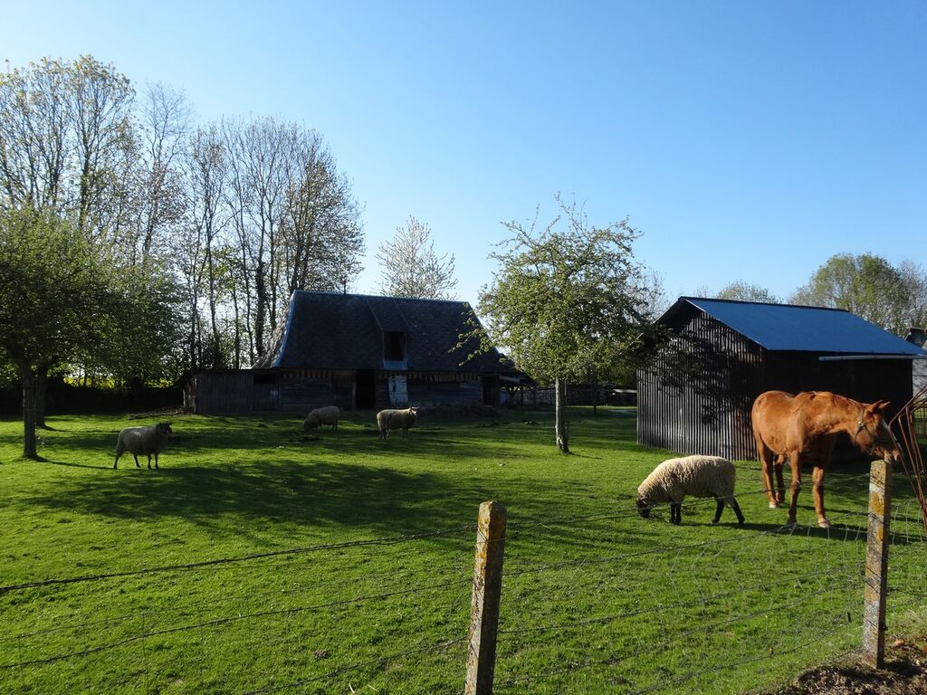 Vue côté arrière Terres et Demeures