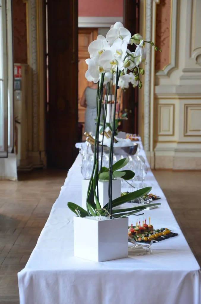 préparation buffets décoration