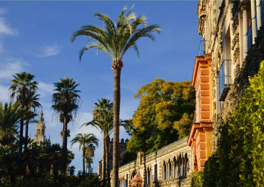 Organiser son mariage de A à Z dans le sud de l’Espagne proche de Séville grâce à votre Wedding Planner