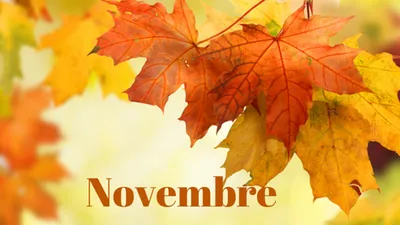 PROMOTIONS STYLE ZEN ESTHETIQUE HOSSEGOR