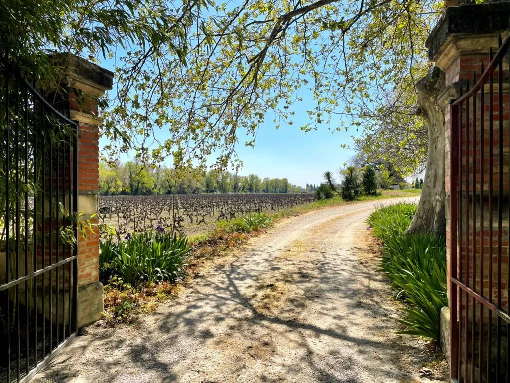 château 19ème siècle avec pleine vue sur les Dentelles de Montmirail   