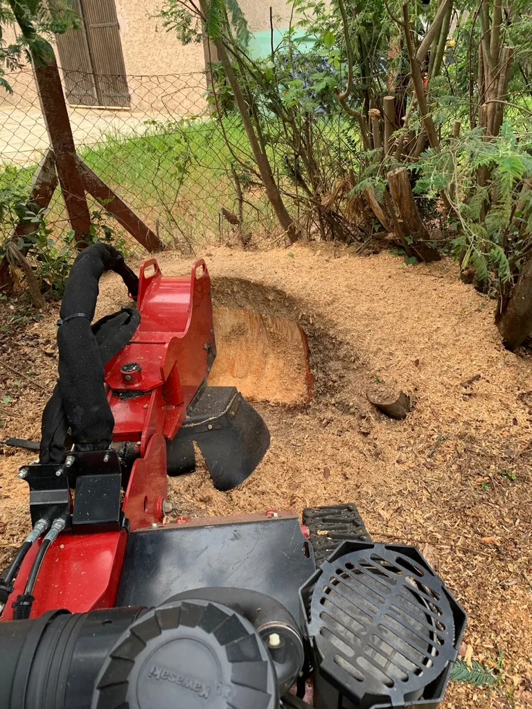 Rognage de souche à Sanguinet