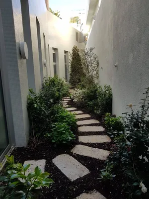 Entretien de patio végétalisé à Monaco