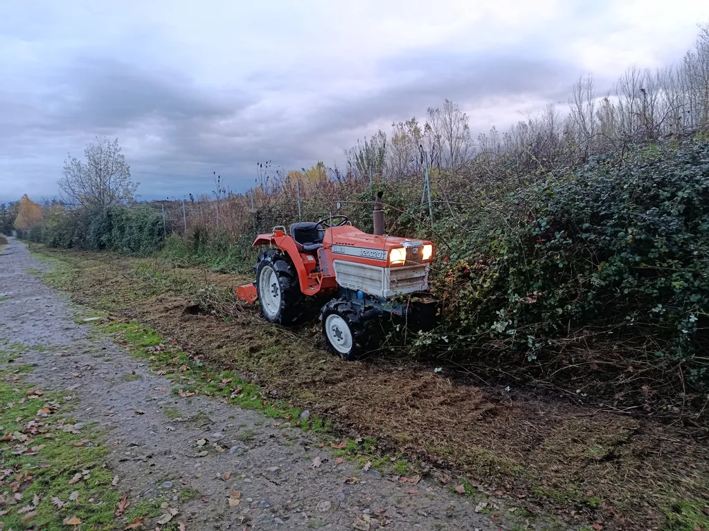 Débroussaillage important des bordures et fossés d'une entreprise par les paysagistes de MAT'TAILLE à Seysses proche de Toulouse 