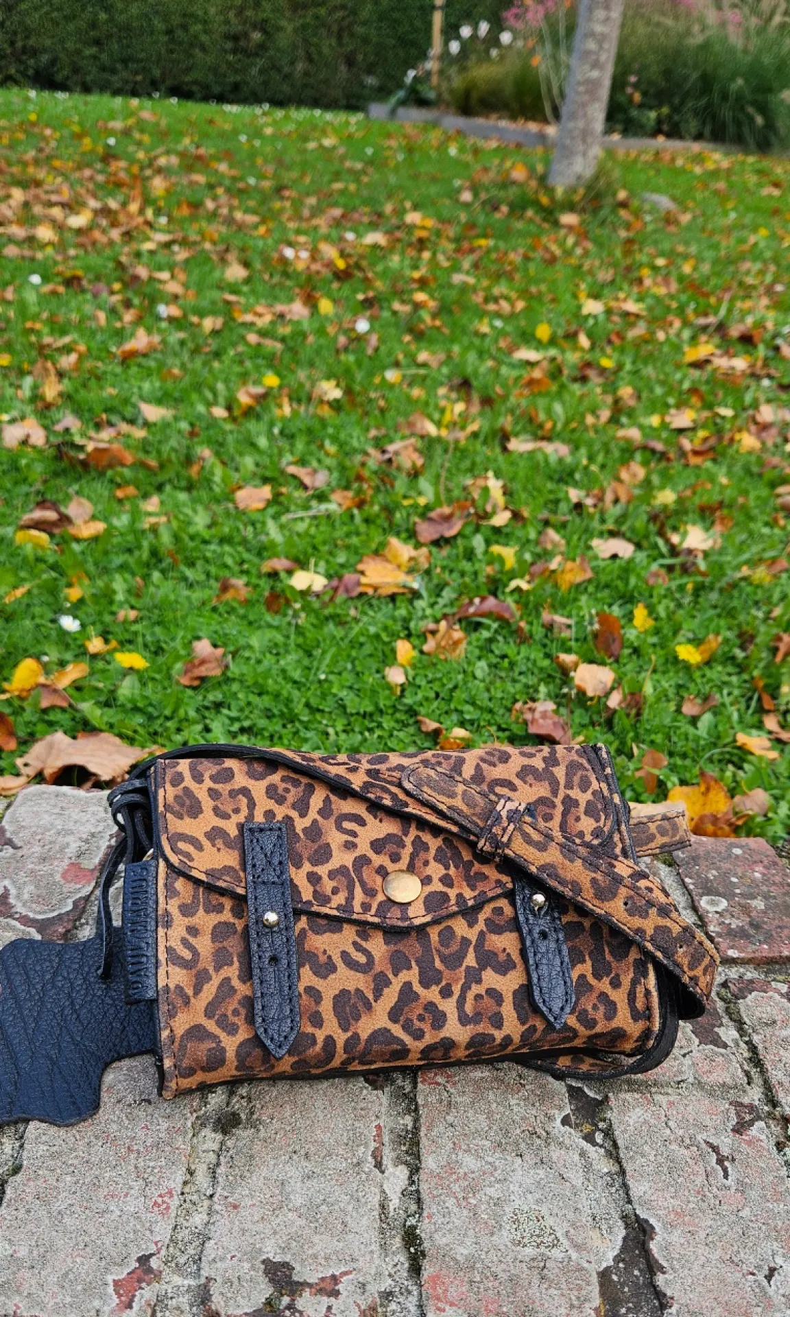 Le Mini Indispensable Léopard noir de Paul Marius indisponible chez Evasion Eu