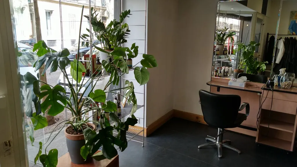 christian mahodi coupe tendances marseille 13004