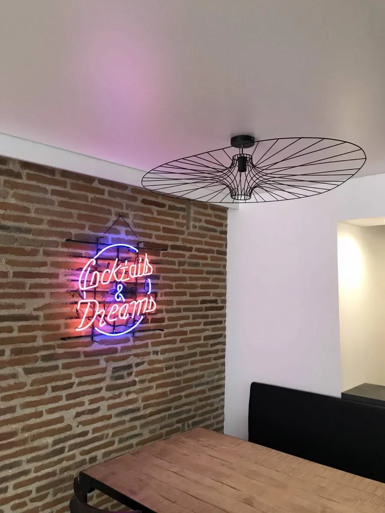 Décoration intérieur Toulouse - plafond tendu BARRISOL blanc mat by Plafonds Tendus Occitans Portet s/G.