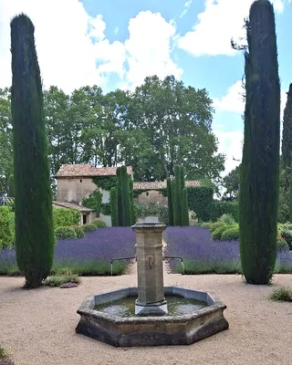Entretien de jardin à Aix-en-Provence 13090 par les experts de Carré Vert, pour des espaces extérieurs soignés et durables