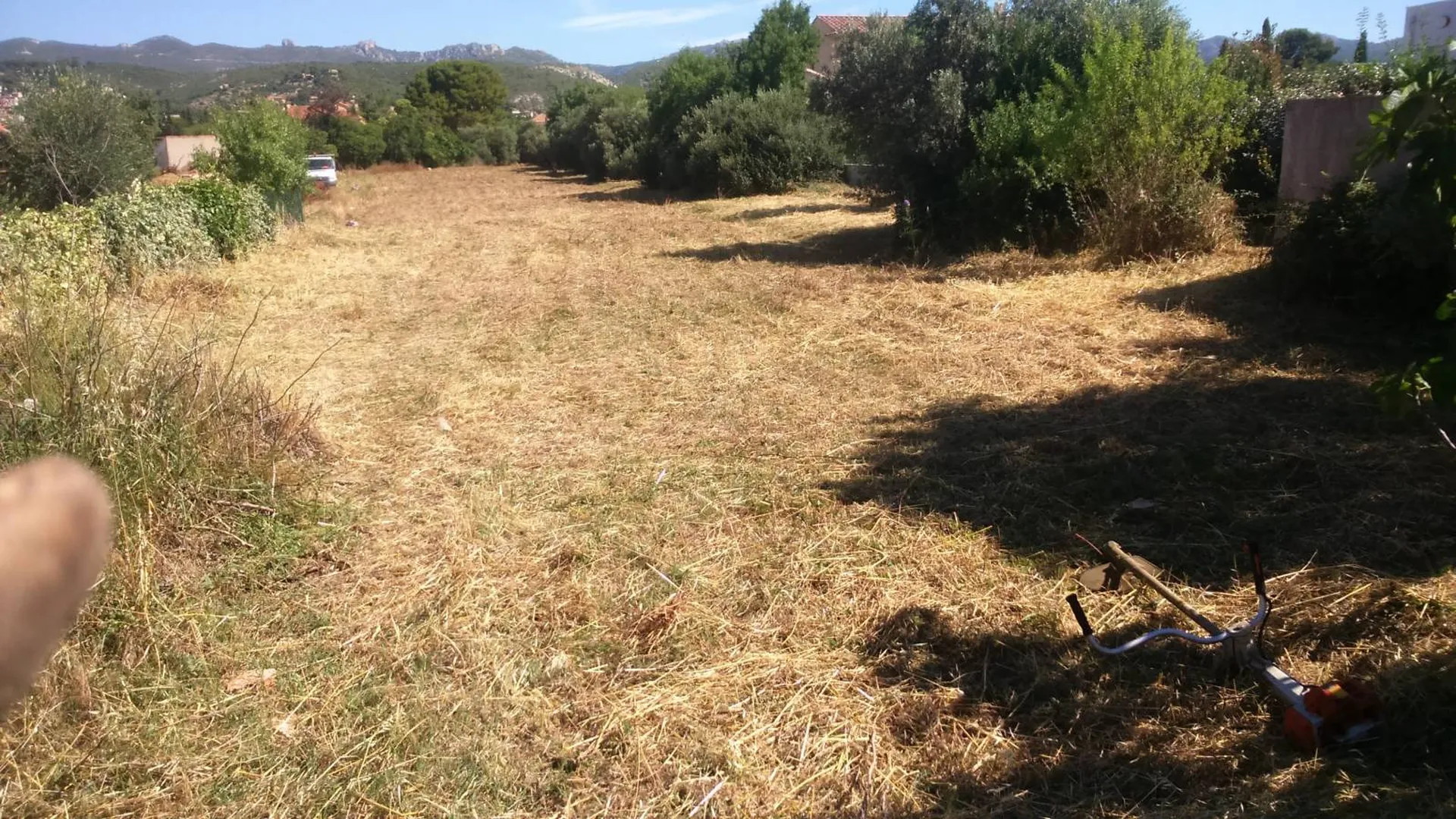 quel est le prix pour débroussaillage grand terrain la ciotat
