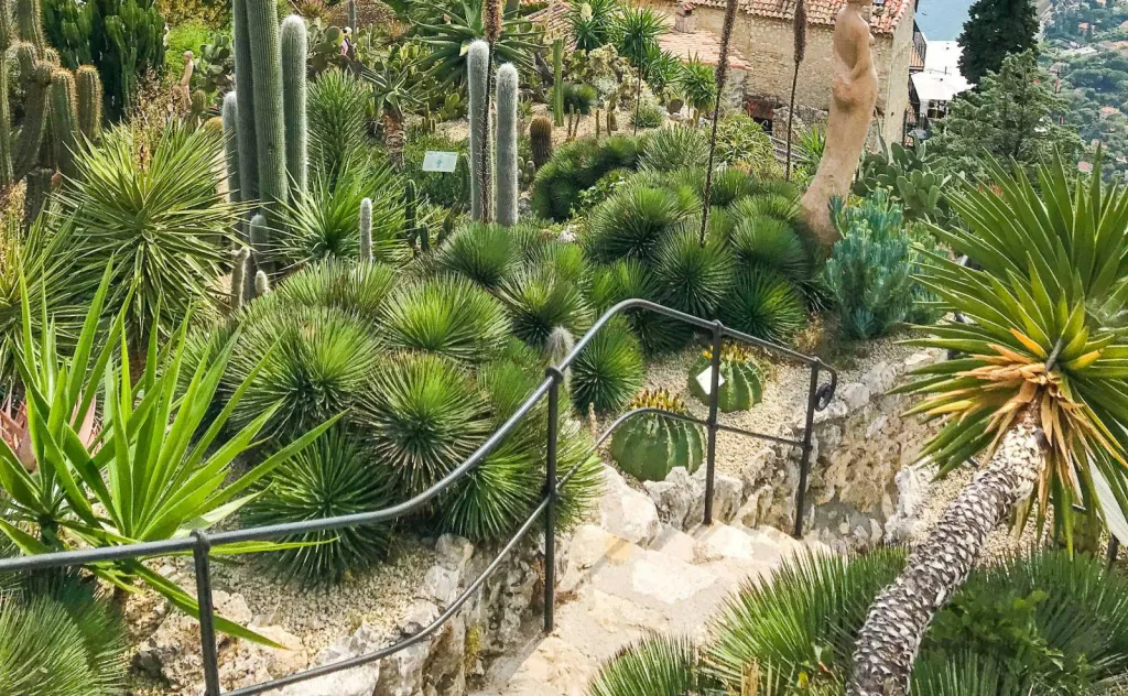 Amenagement de jardin paysager dans les Bouches du Rhone