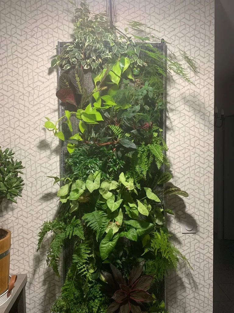 Evolution Paysage crée un mur végétal d’intérieur à proximité de Sanguinet