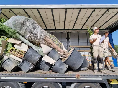 Déchargement des végétaux à Nice