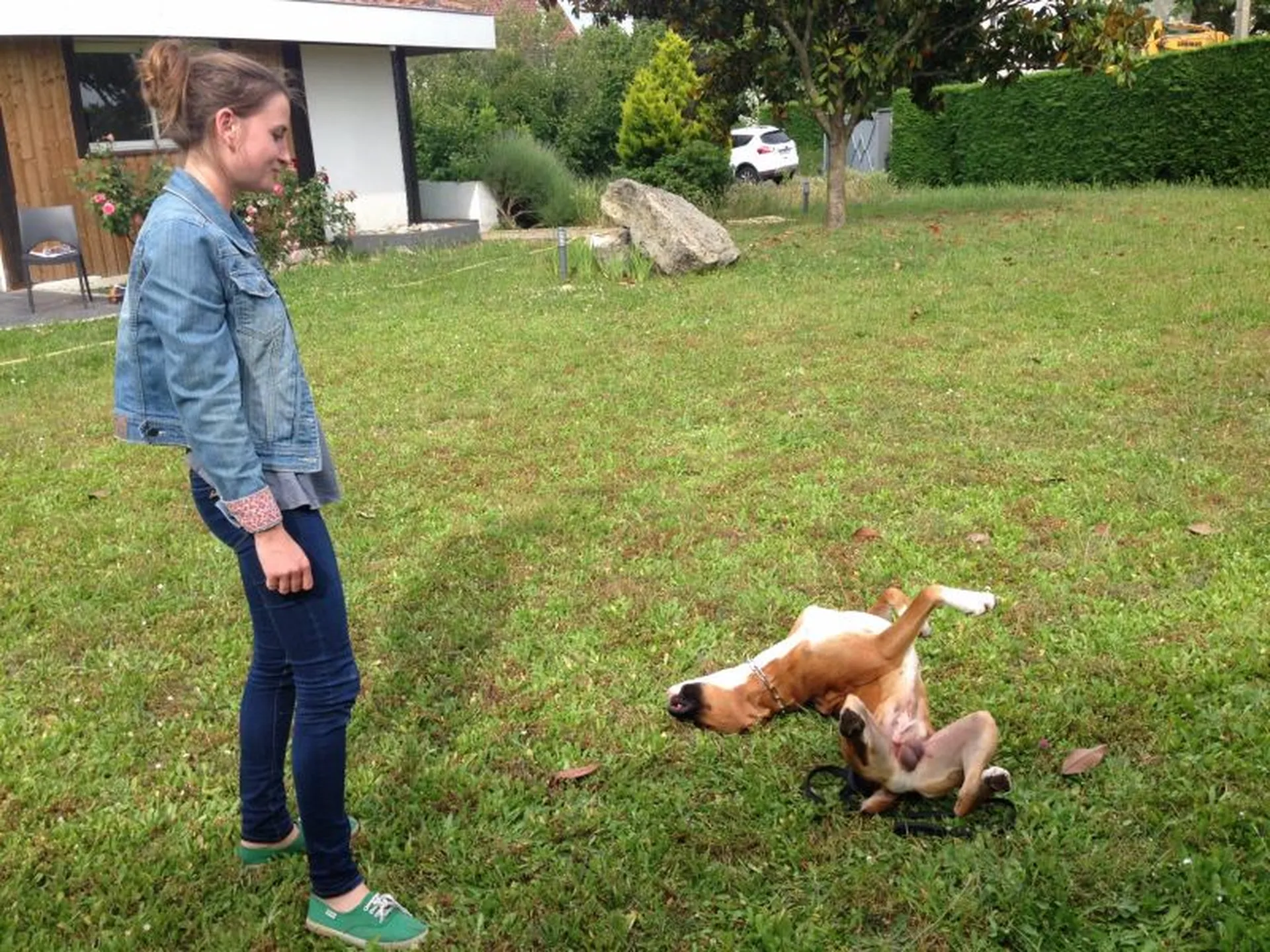 educateur canin pour  boxer  bordeaux