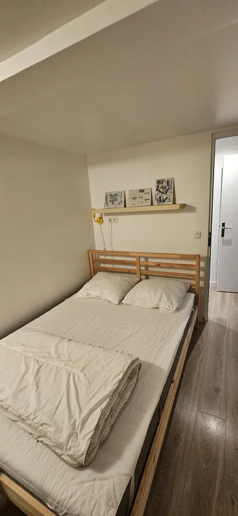Intervention de Canem Detect dans un airbnb à Paris pour la détection de punaises de lit face à une suspicion