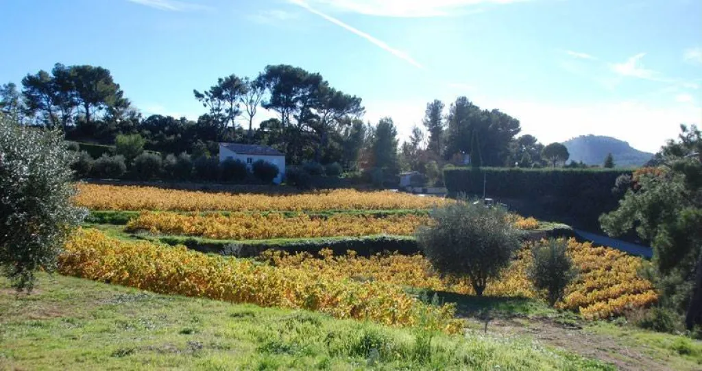 domaine de cagueloup