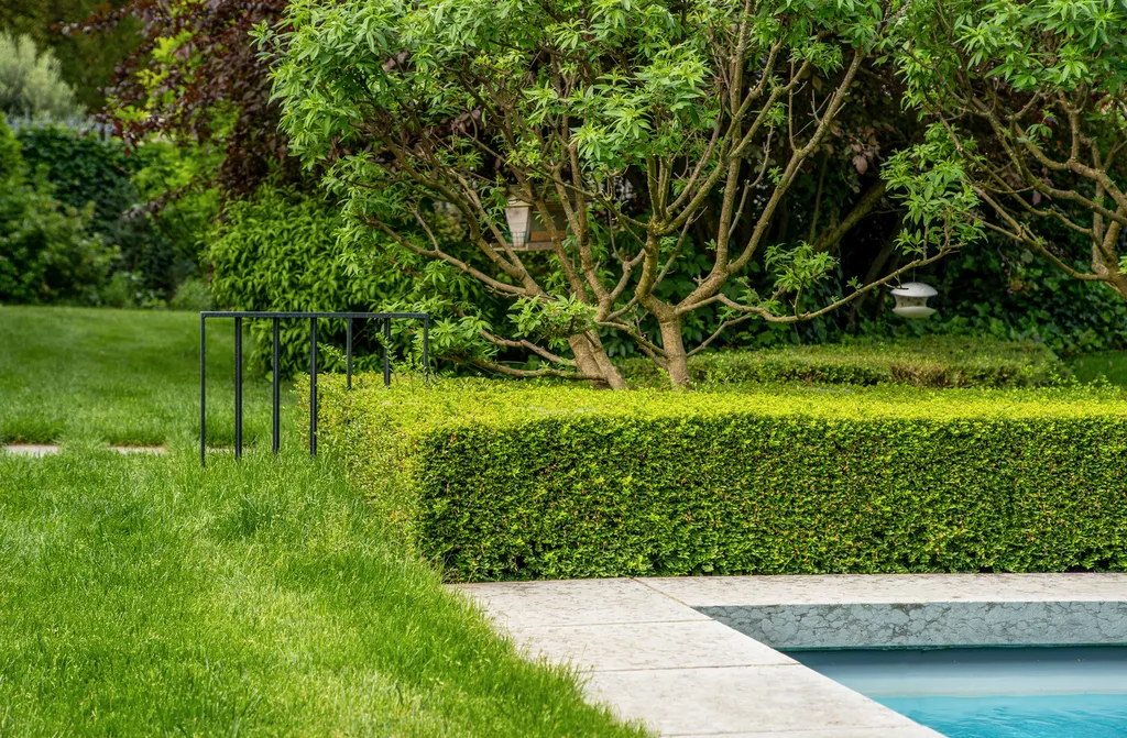 Aménagement paysager complet avec arrosage automatique intelligent et gazon de plaquage à Caluire-et-Cuire (69300)