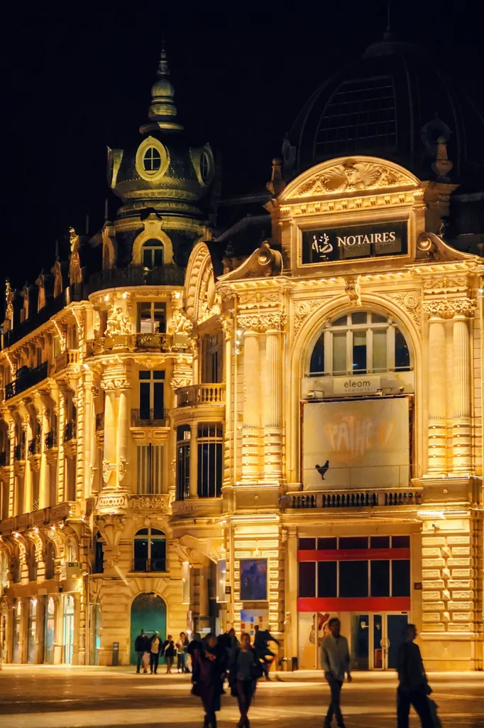M Notaires & Conseils, des Notaires à votre service à Montpellier