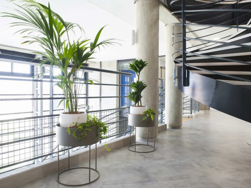 photographe d'agencement d'espaces intérieurs plantes en pot