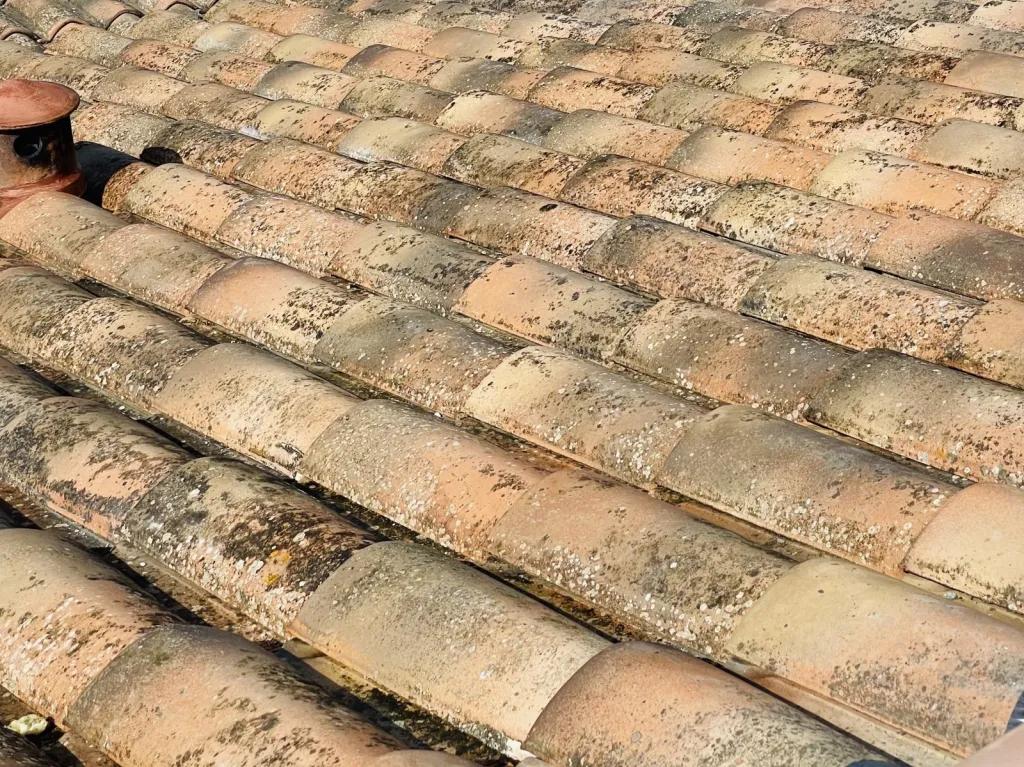 Nettoyage et traitement de tuiles mécaniques Abeilles sur Bouc Bel Air près de Aix en Provence 