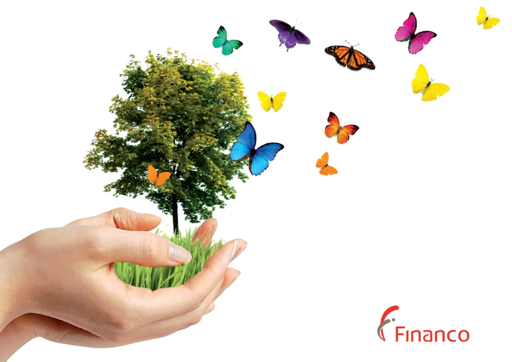 Réalisez tous vos projets avec FINANCO !