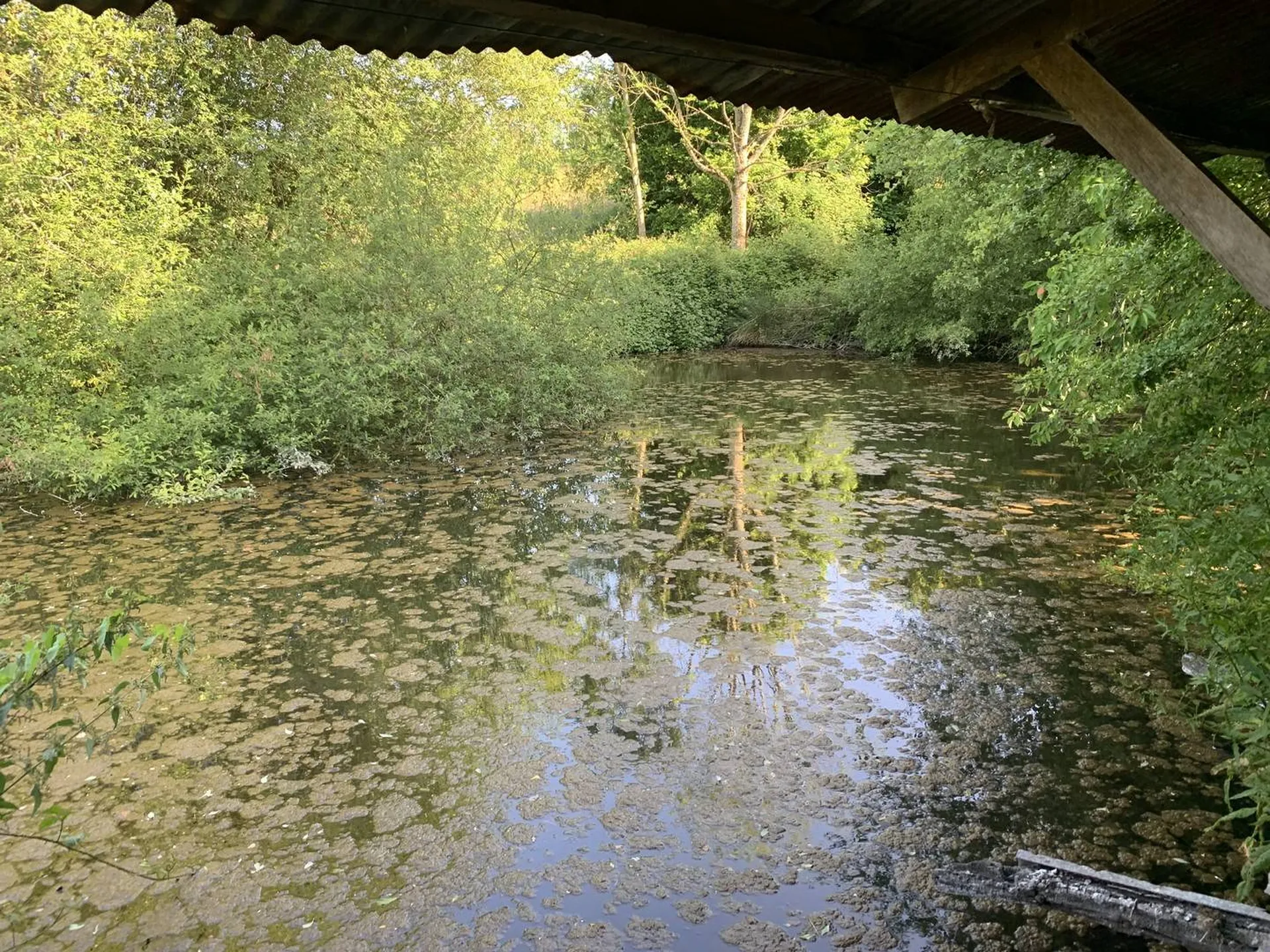 A VENDRE - PAYS D'AUGE DU CALVADOS Au sud de LISIEUX 14100 : Corps de ferme normand avec 9 ha 50 a de terrain