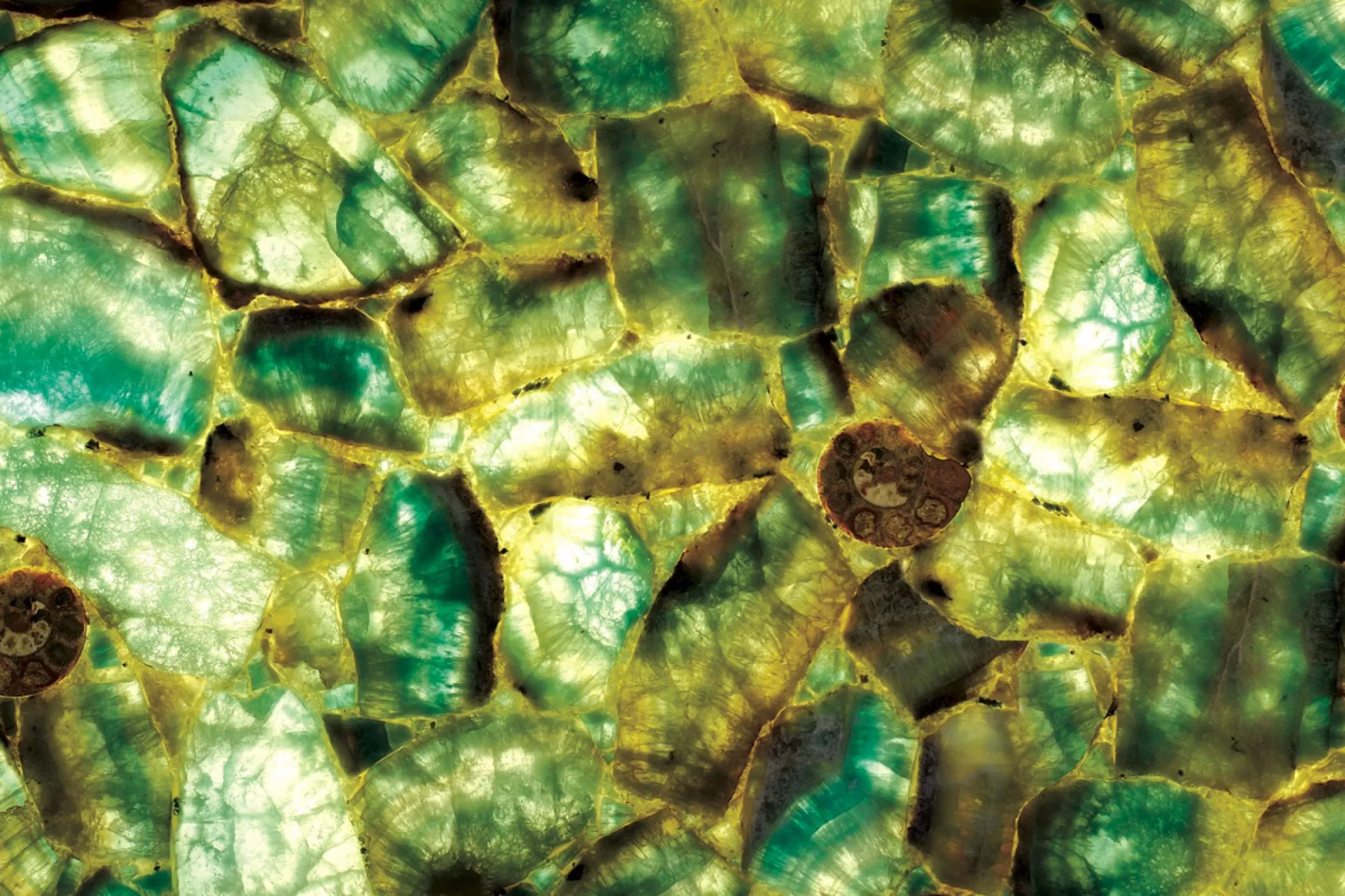 Emerald Fluorite rétroéclairée