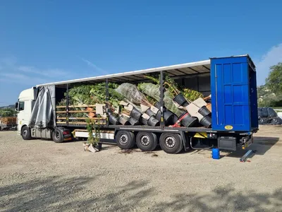 Déchargement des végétaux à Nice