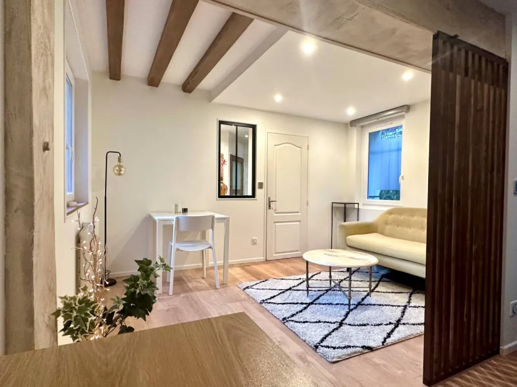 À vendre, appartement F1 bis Rouen centre rive droite.