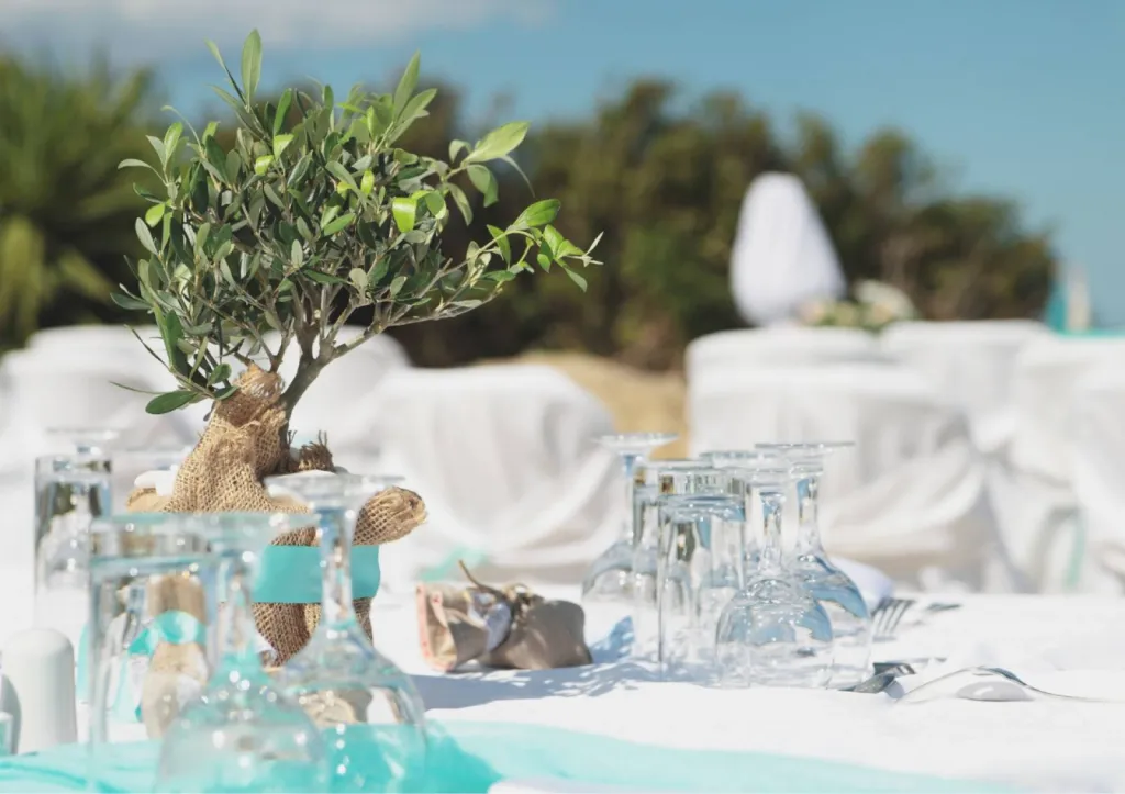 Une décoration dinatoire sur mesure au allure d’oliveraie pour votre réception de mariage 