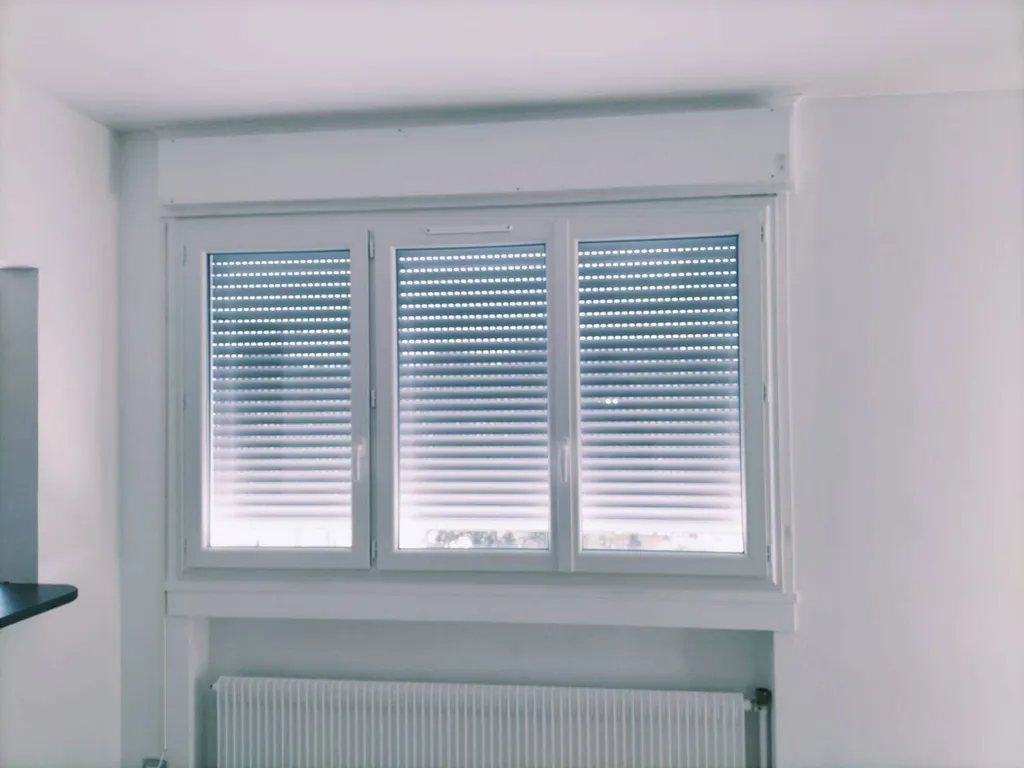 Installation de menuiseries PVC double vitrage à Lyon 6