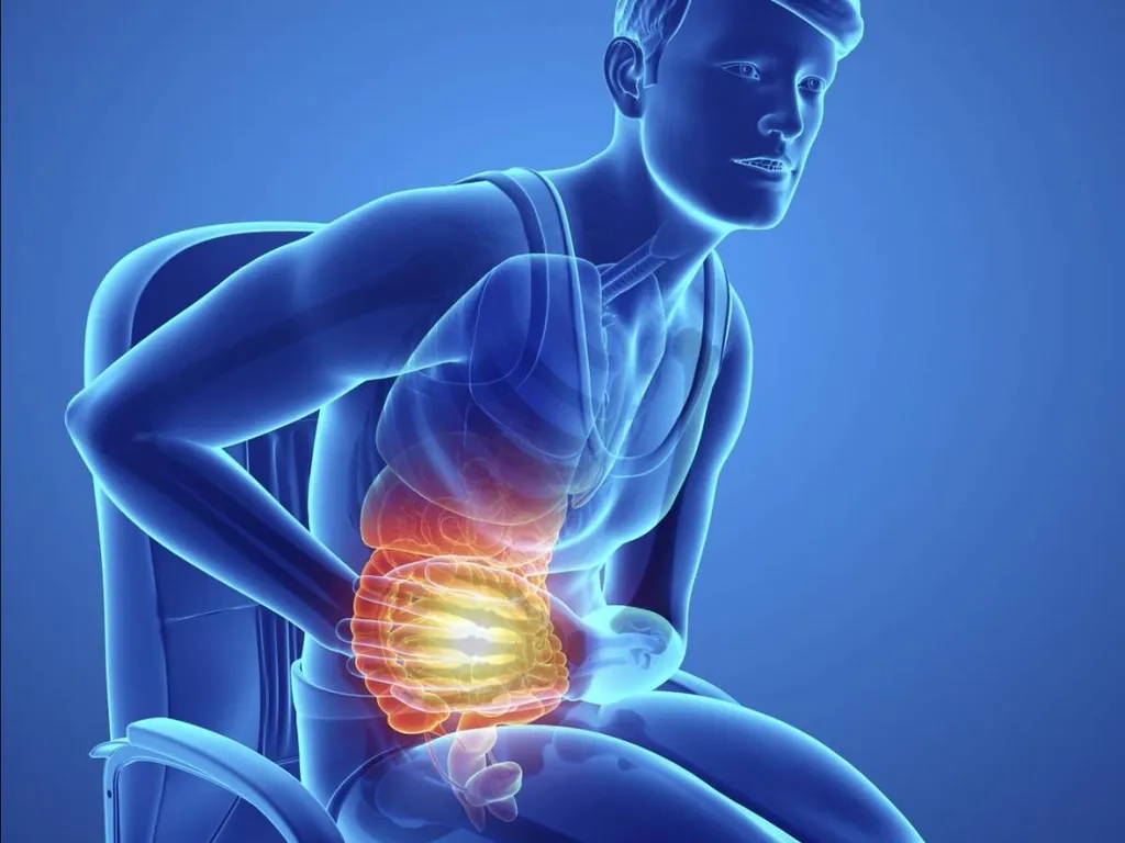 Traitement des troubles du transit et de la diarrhée par l'acupuncture à Lyon dans la région Rhône Alpes