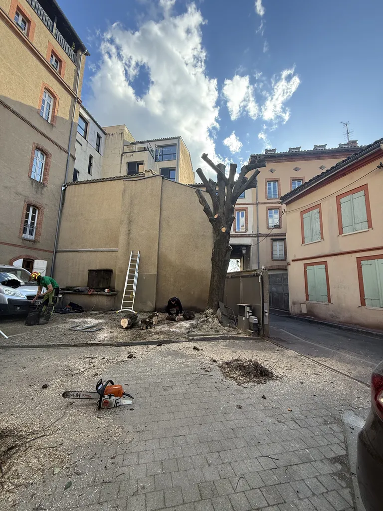 Élagage sévère de tilleul en hyper centre de Toulouse : taille d’arbre sécurisée et entretien espaces verts professionnel