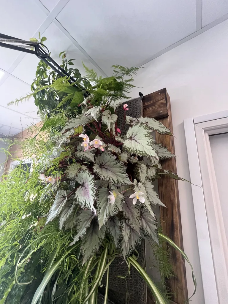 Optez pour un mur végétalisé d'intérieur de qualité à Sanguinet dans votre showroom