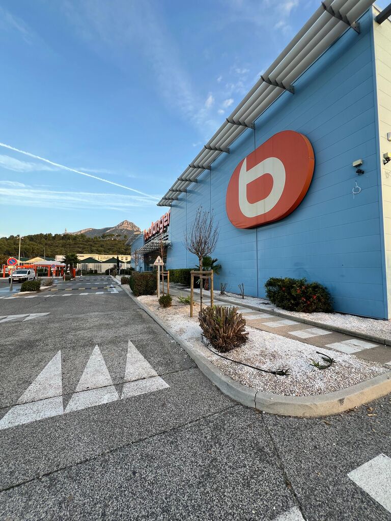 Plantation d’arbres tiges et palmiers avec paillage, arrosage et entretien durable sur site commercial à La Garde