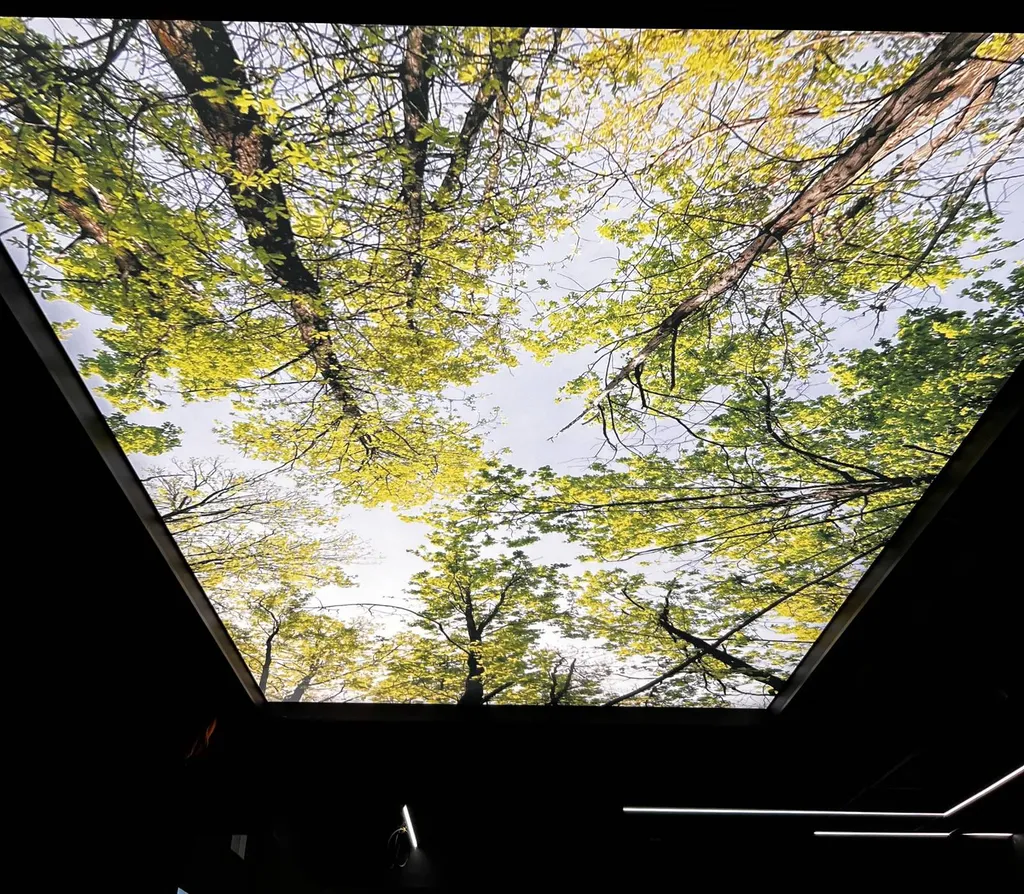 CROEC de Toulouse : plafond imprimé acoustique dans salle du conseil - Plafonds Tendus Occitans Toulouse